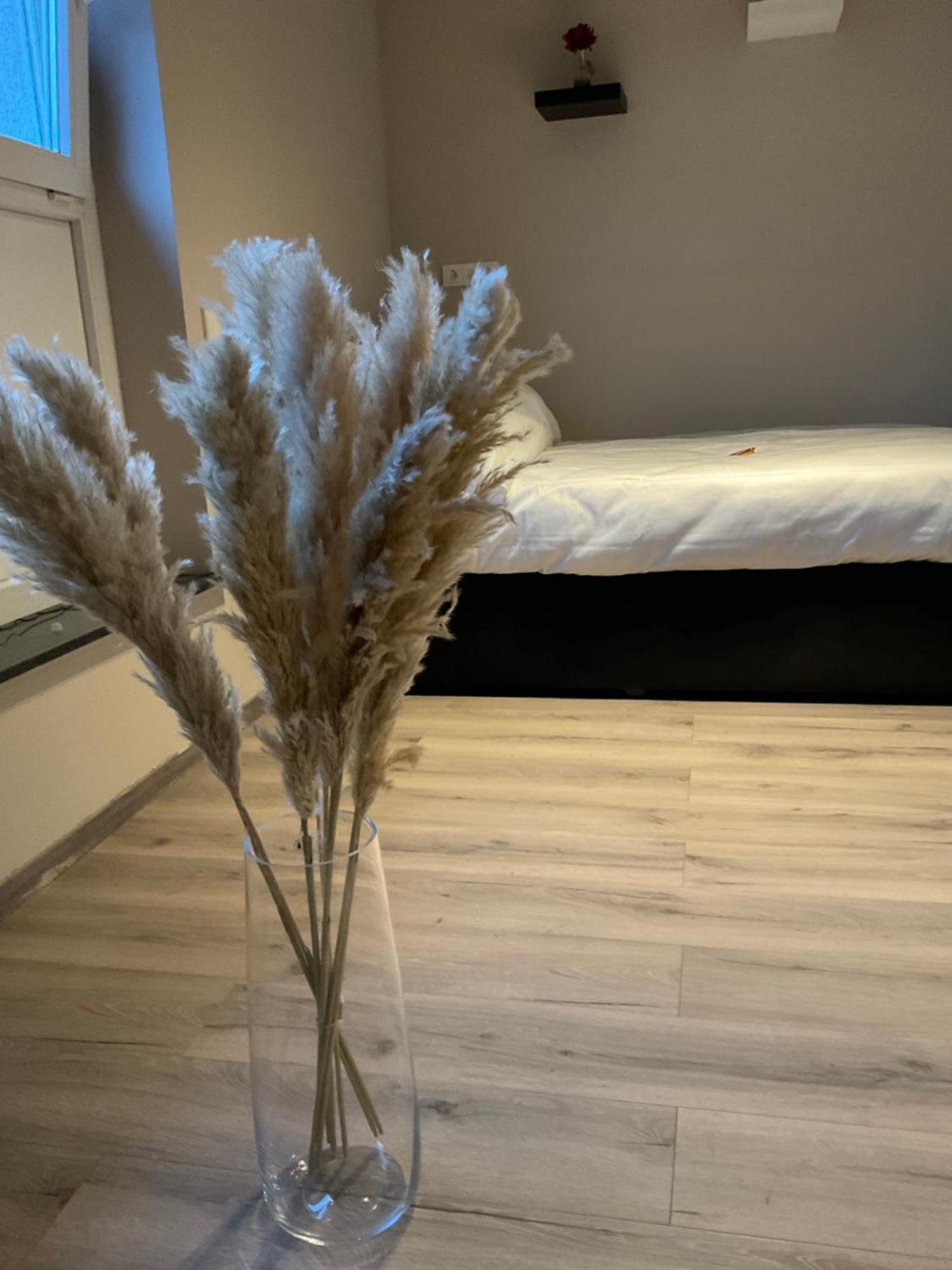 Modernes Studio Am Dreilaendereck Alsdorf Kültér fotó